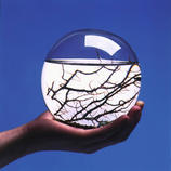 Ecosphere&reg;, rund Das vollkommene &Ouml;kosystem im Wasserglas, entwickelt von der NASA.