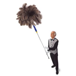 Feather duster with additional